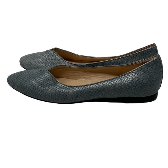 AGL Mimosa Snake Embossed Ballet Flat in Blue Grey - Picture 8 of 9